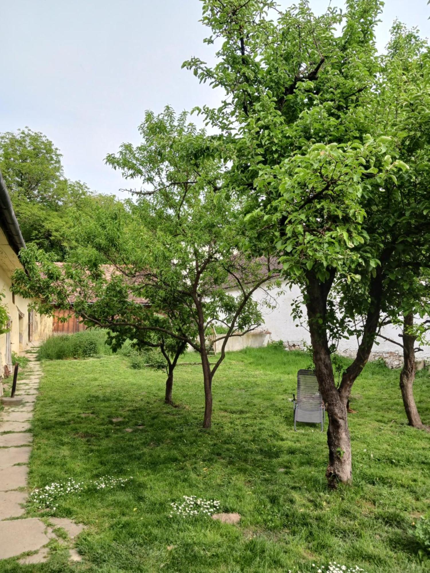 Casa Arthur Richis Richisu エクステリア 写真